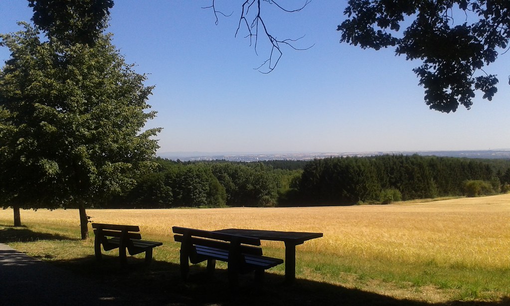 Blick nach Mainz
